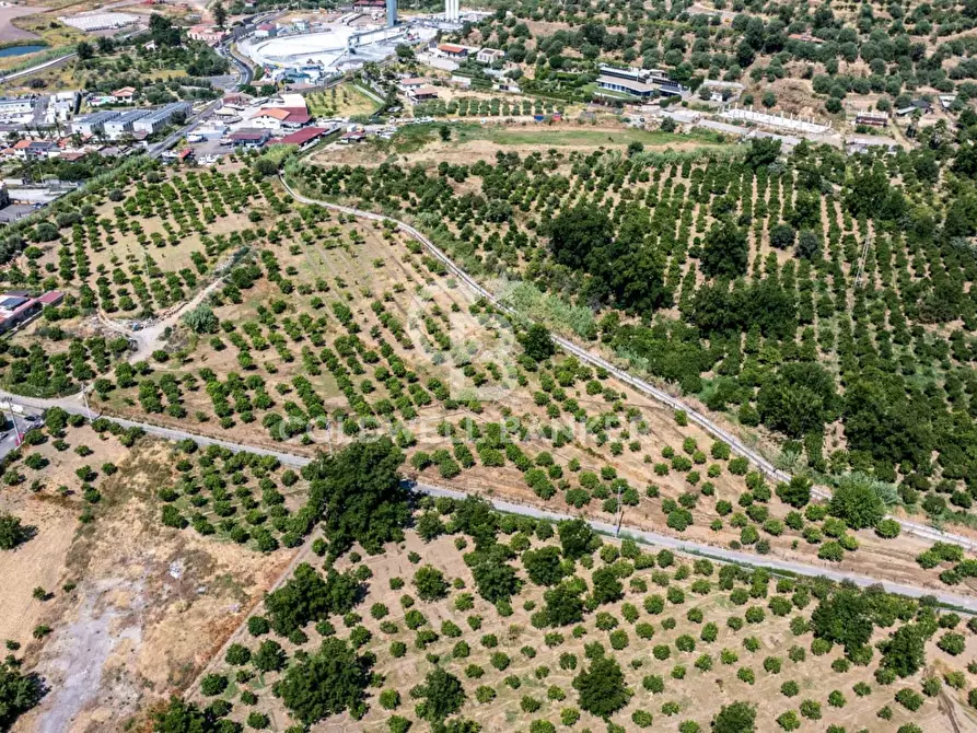 Immagine 8 di Terreno agricolo in vendita  in Via Francavilla snc a Taormina