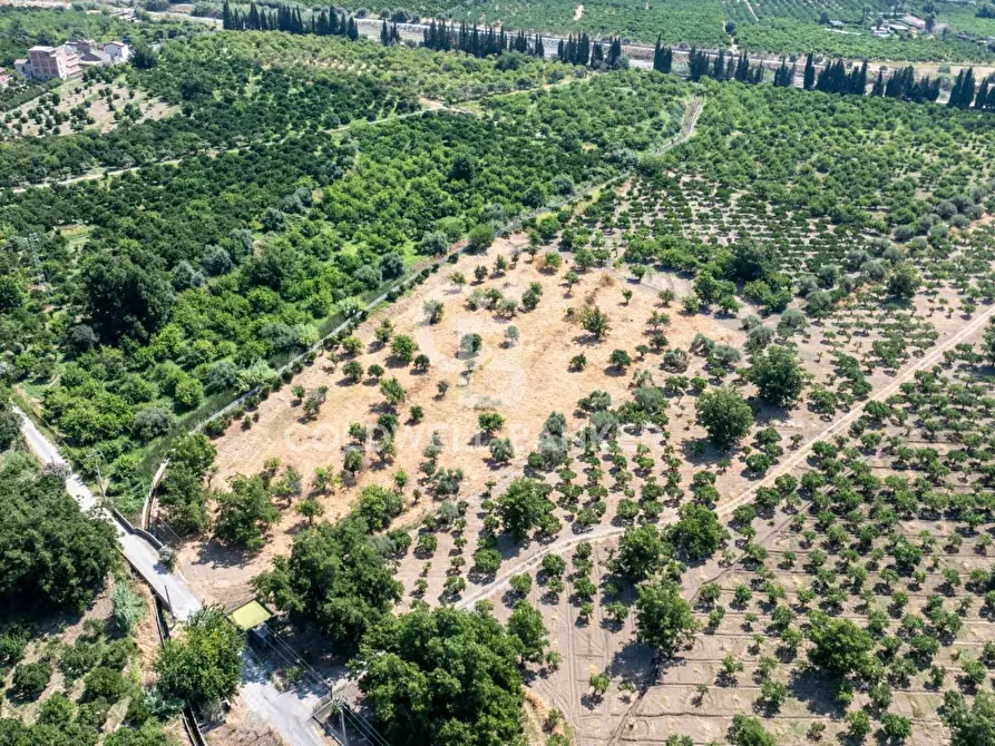 Immagine 9 di Terreno agricolo in vendita  in Via Francavilla snc a Taormina