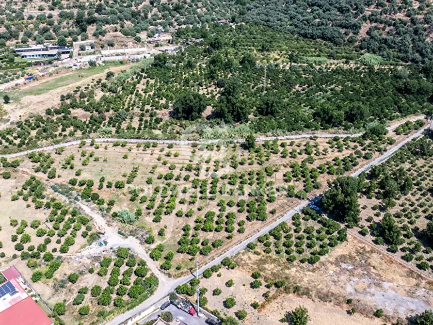 Immagine 10 di Terreno agricolo in vendita  in Via Francavilla snc a Taormina
