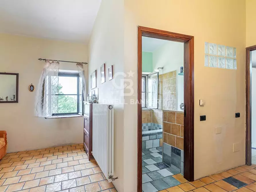 Immagine 23 di Casa semindipendente in vendita  in Via Vicolo Storto 8 a Tarquinia