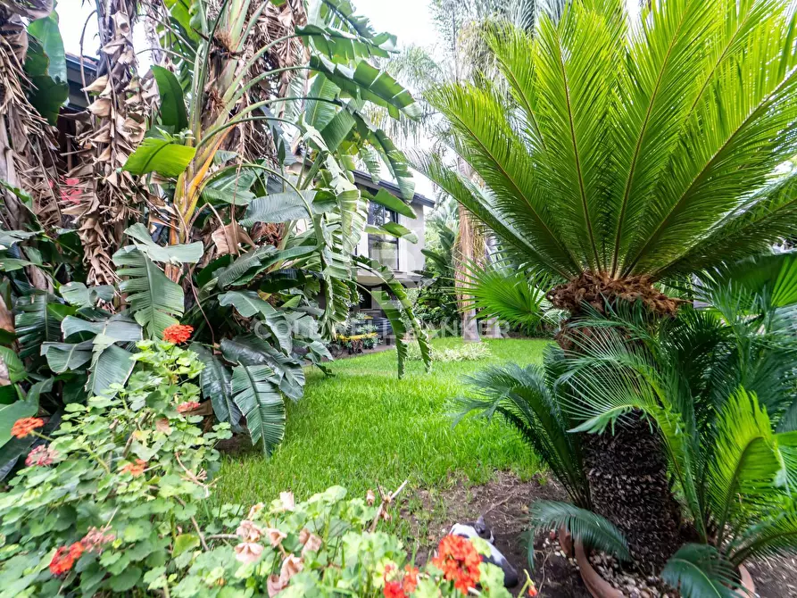 Immagine 50 di Villa in vendita  in Via Garritta 62 a Acireale