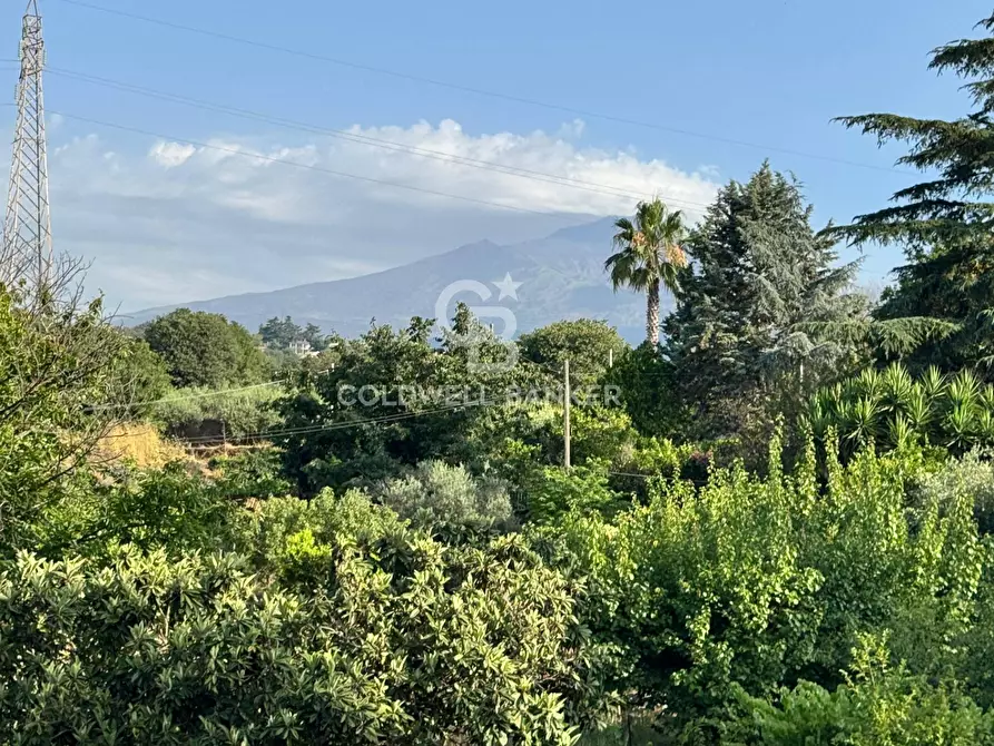 Immagine 32 di Villa in vendita  in Via Marco Polo 4 a Viagrande