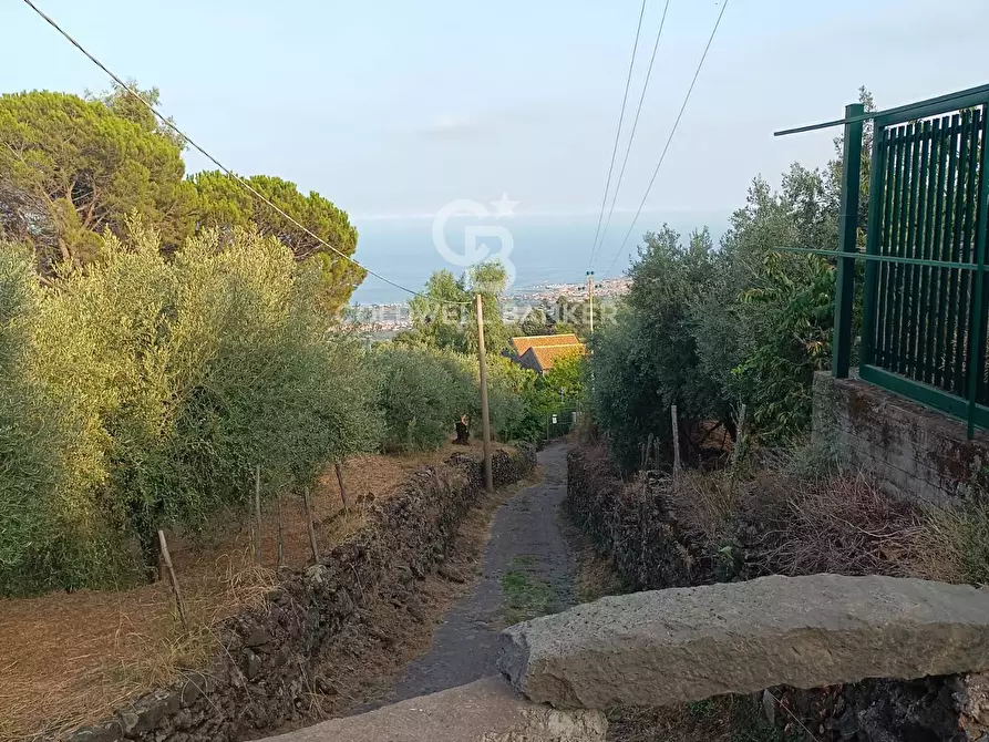 Immagine 3 di Rustico / casale in vendita  in scorciavacca montorsi a Mascali