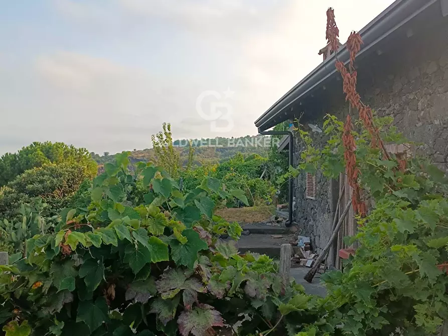 Immagine 5 di Rustico / casale in vendita  in scorciavacca montorsi a Mascali