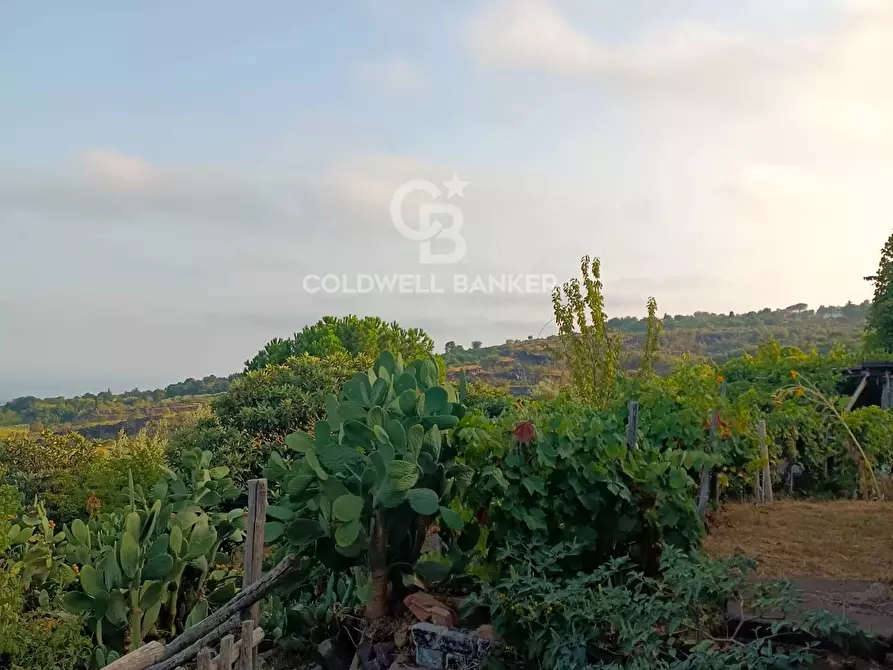 Immagine 10 di Rustico / casale in vendita  in scorciavacca montorsi a Mascali