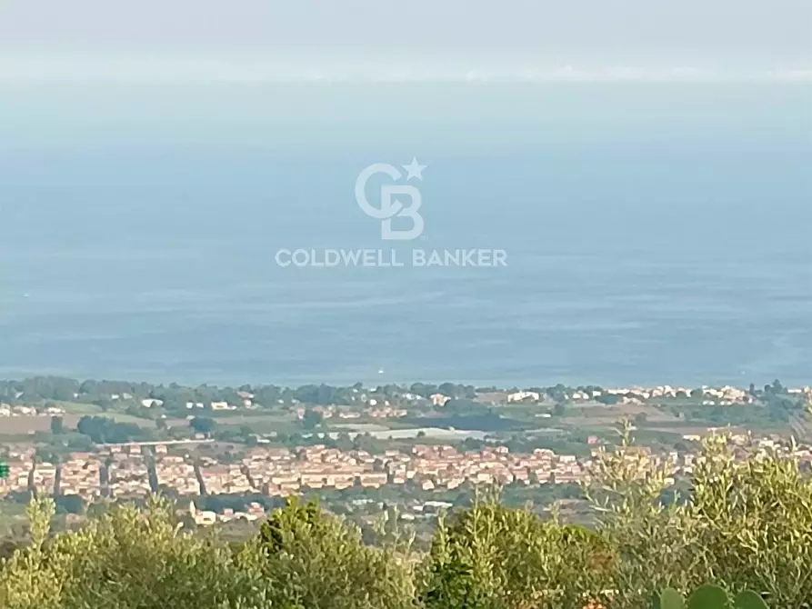 Immagine 12 di Rustico / casale in vendita  in scorciavacca montorsi a Mascali