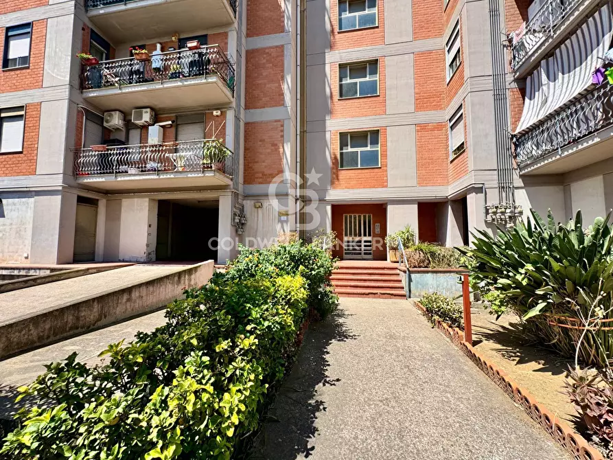 Immagine 15 di Appartamento in vendita  in Viale Nitta 14/C a Catania