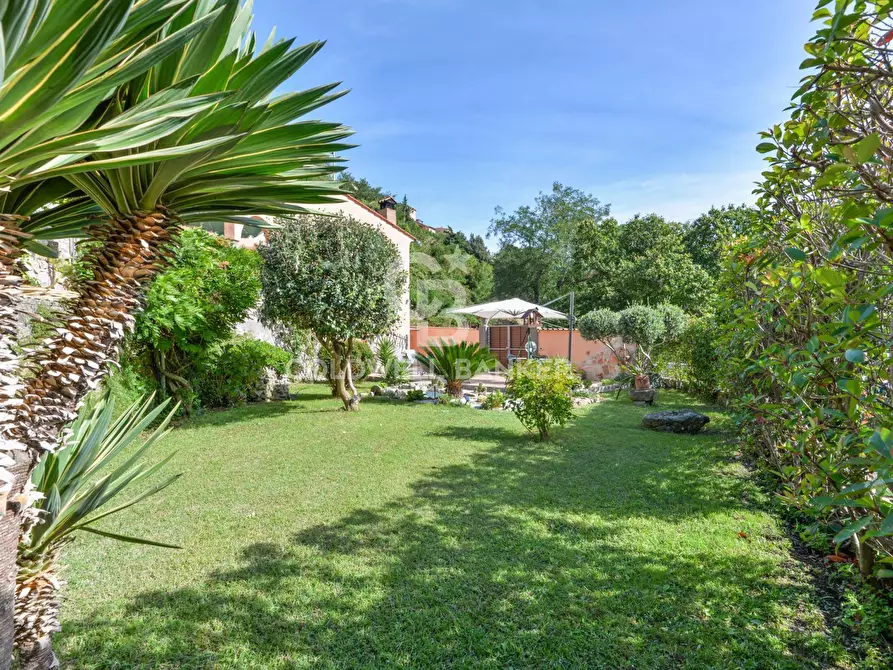 Immagine 5 di Villa in vendita  in Via provinciale per Poggio a Marciana