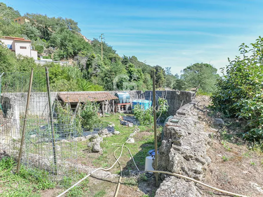 Immagine 28 di Villa in vendita  in Via provinciale per Poggio a Marciana