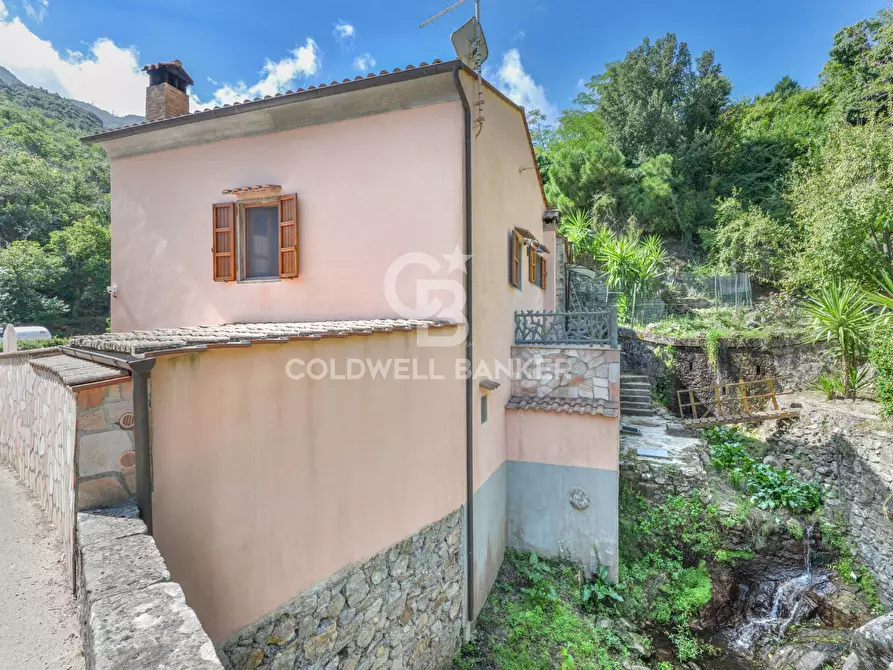 Immagine 32 di Villa in vendita  in Via provinciale per Poggio a Marciana