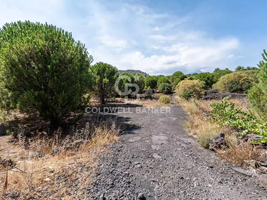 Immagine 2 di Terreno agricolo in vendita  in Via Ragala Montarso a Nicolosi