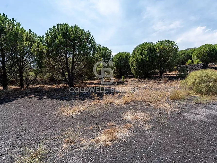 Immagine 3 di Terreno agricolo in vendita  in Via Ragala Montarso a Nicolosi