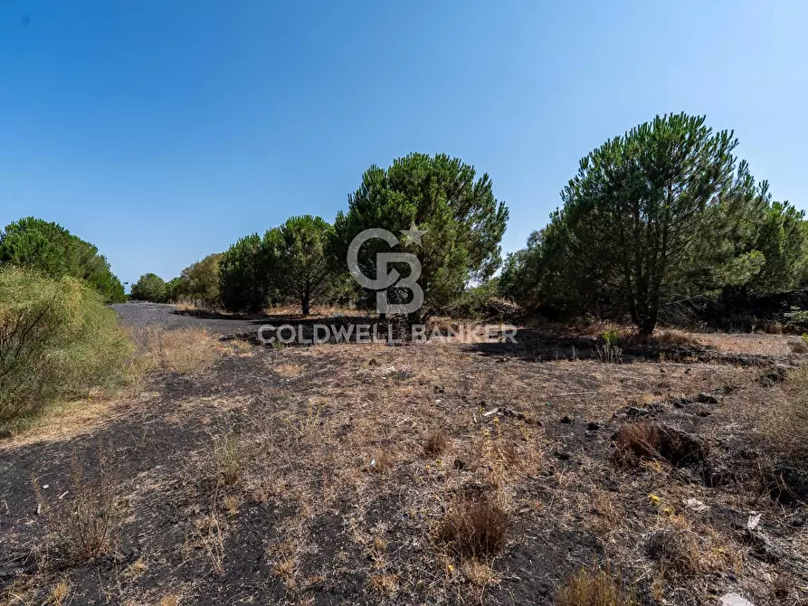Immagine 4 di Terreno agricolo in vendita  in Via Ragala Montarso a Nicolosi