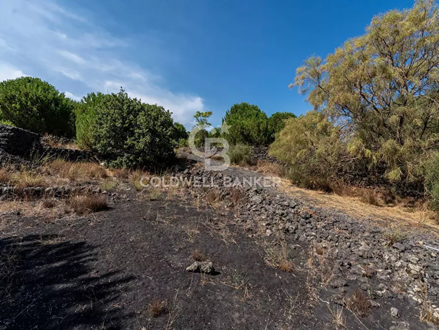 Immagine 5 di Terreno agricolo in vendita  in Via Ragala Montarso a Nicolosi