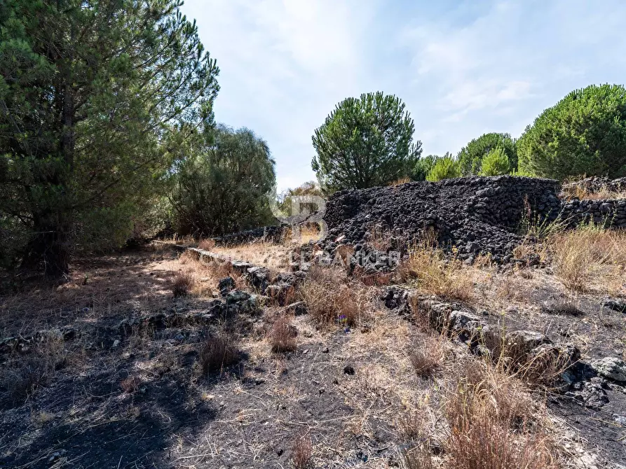 Immagine 6 di Terreno agricolo in vendita  in Via Ragala Montarso a Nicolosi