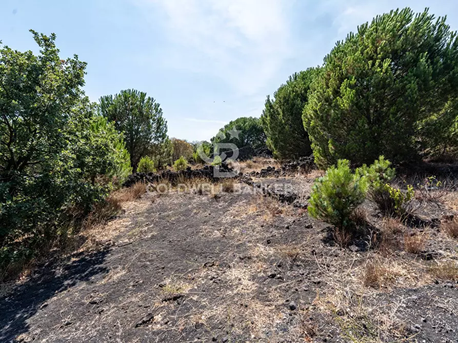 Immagine 7 di Terreno agricolo in vendita  in Via Ragala Montarso a Nicolosi