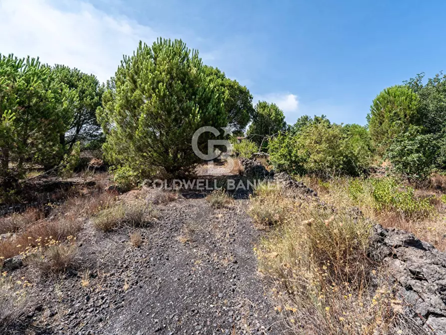 Immagine 8 di Terreno agricolo in vendita  in Via Ragala Montarso a Nicolosi