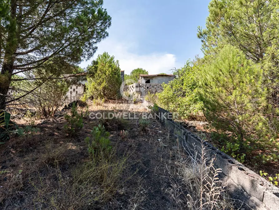 Immagine 10 di Terreno agricolo in vendita  in Via Ragala Montarso a Nicolosi