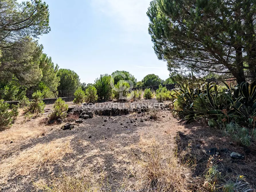 Immagine 11 di Terreno agricolo in vendita  in Via Ragala Montarso a Nicolosi