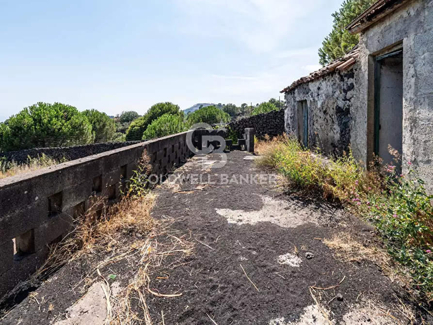 Immagine 12 di Terreno agricolo in vendita  in Via Ragala Montarso a Nicolosi