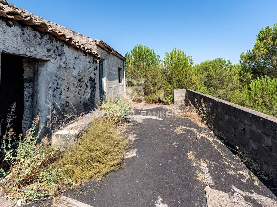 Immagine 13 di Terreno agricolo in vendita  in Via Ragala Montarso a Nicolosi