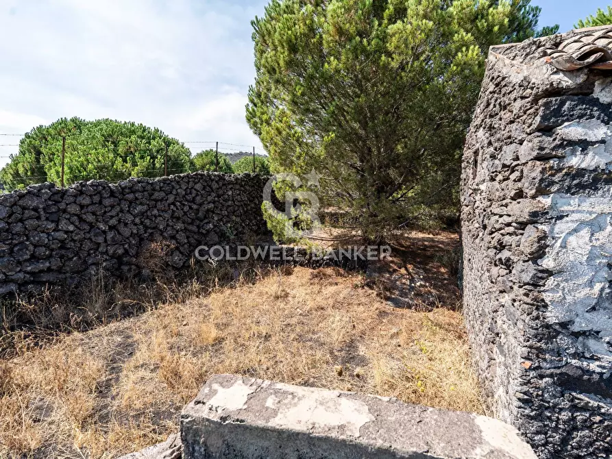 Immagine 15 di Terreno agricolo in vendita  in Via Ragala Montarso a Nicolosi