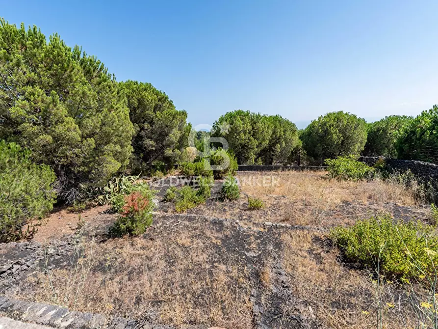 Immagine 16 di Terreno agricolo in vendita  in Via Ragala Montarso a Nicolosi
