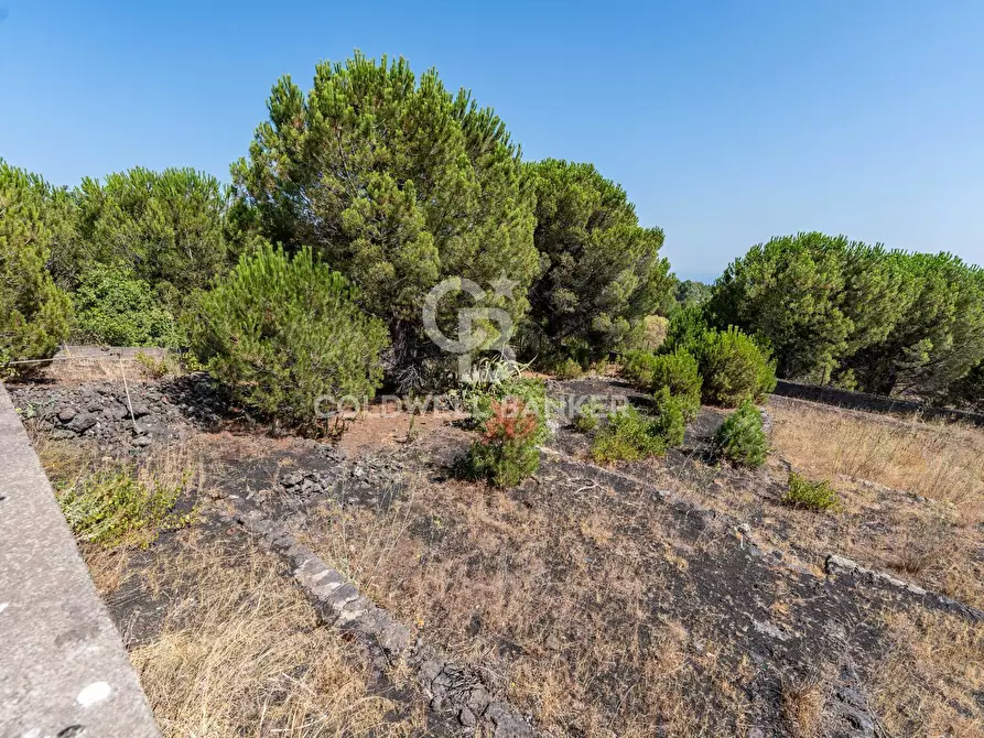 Immagine 17 di Terreno agricolo in vendita  in Via Ragala Montarso a Nicolosi