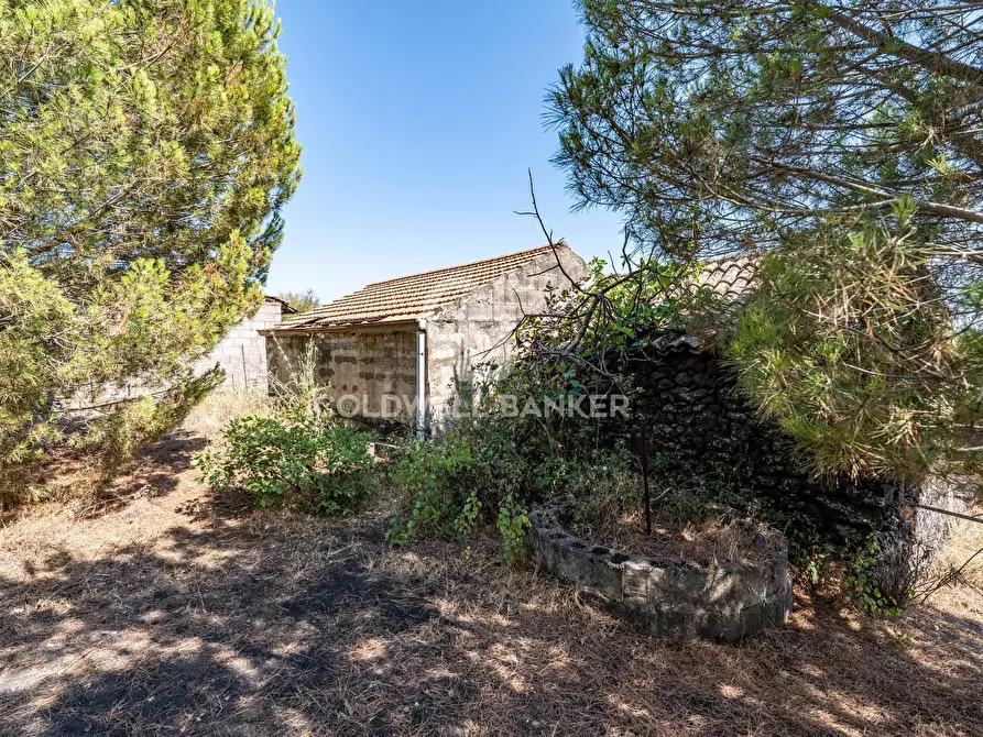 Immagine 19 di Terreno agricolo in vendita  in Via Ragala Montarso a Nicolosi