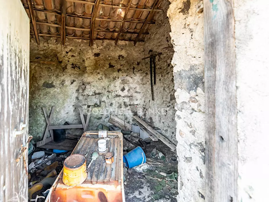 Immagine 14 di Terreno agricolo in vendita  in Via Ragala Montarso a Nicolosi