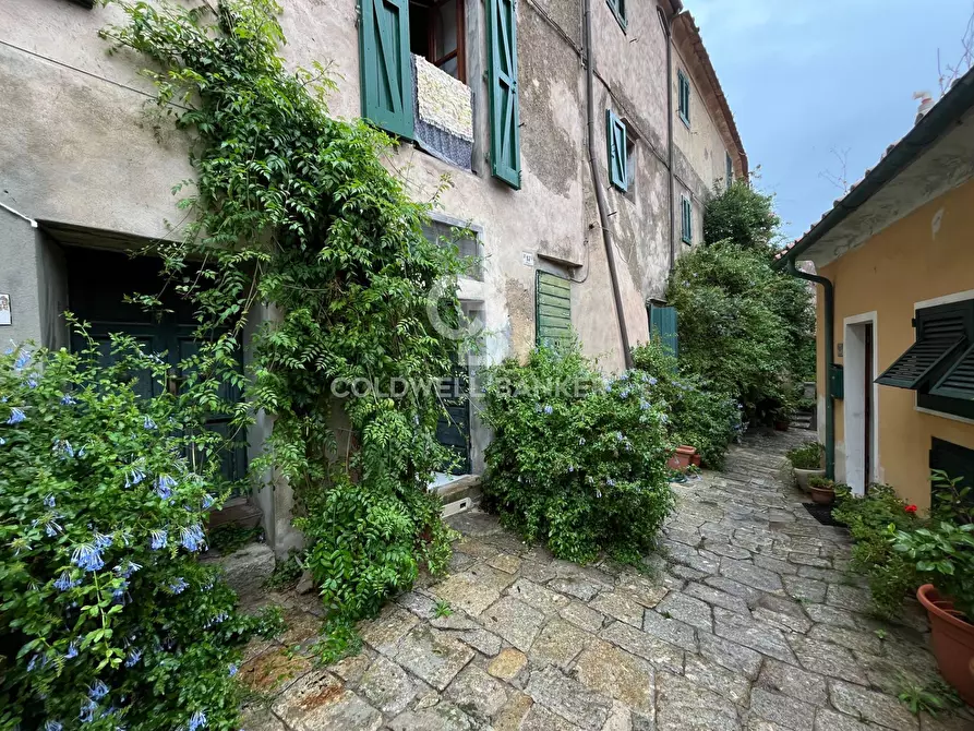 Immagine 22 di Appartamento in vendita  in Via Appiani a Marciana