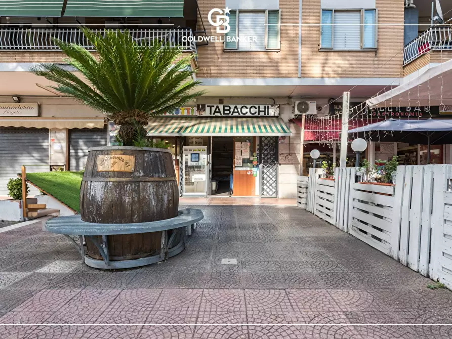 Immagine 14 di Attività commerciale in vendita  in vai carlo Pirzio Biroli 196 a Ciampino