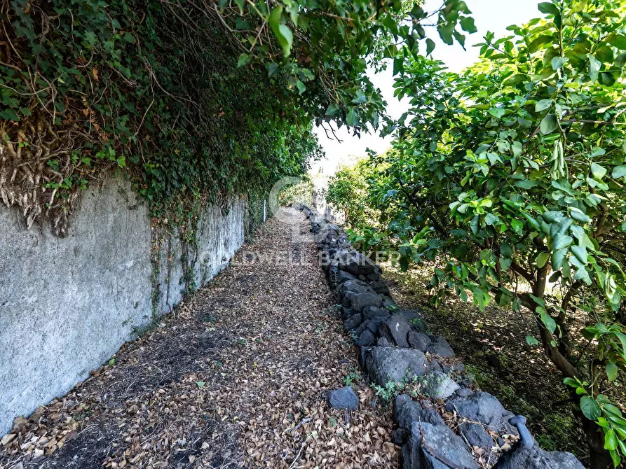 Immagine 10 di Rustico / casale in vendita  in via maugeri 7 a Acireale