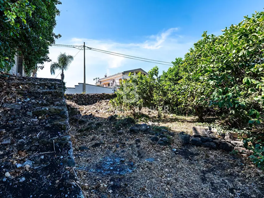 Immagine 12 di Rustico / casale in vendita  in via maugeri 7 a Acireale