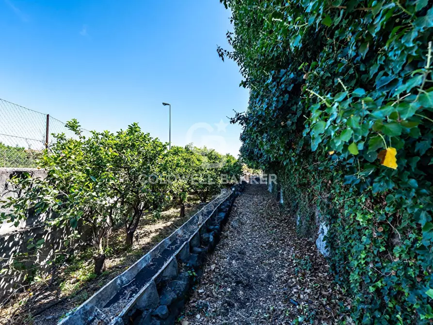 Immagine 13 di Rustico / casale in vendita  in via maugeri 7 a Acireale