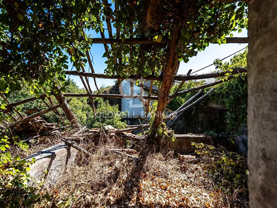 Immagine 15 di Rustico / casale in vendita  in via maugeri 7 a Acireale