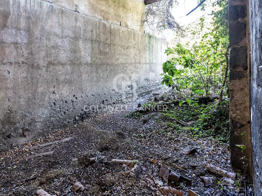 Immagine 17 di Rustico / casale in vendita  in via maugeri 7 a Acireale