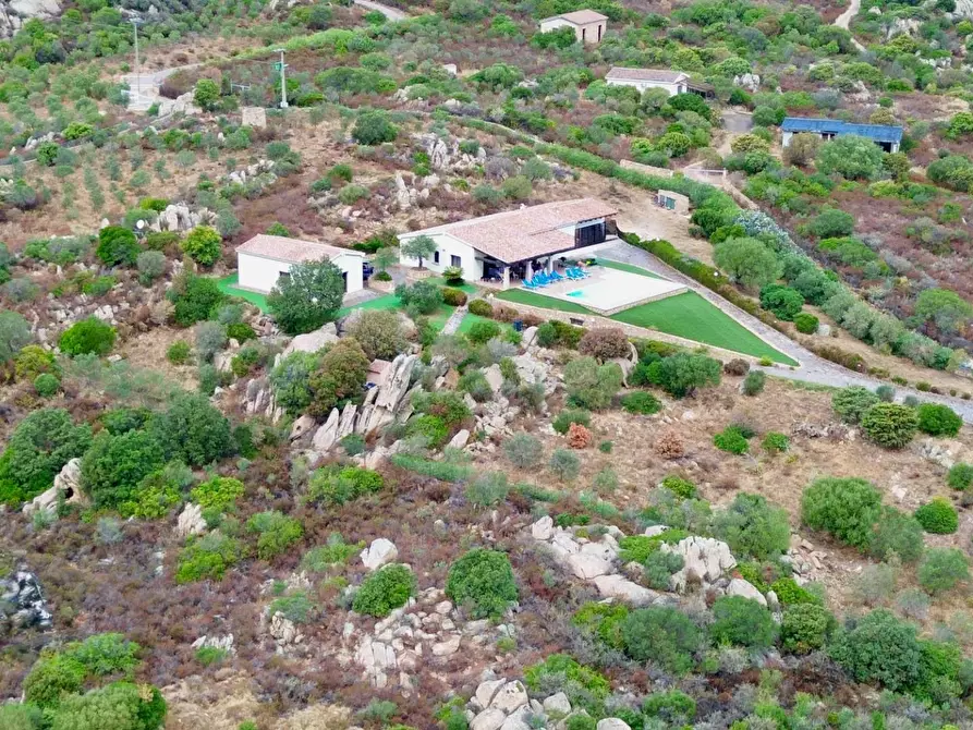 Immagine 43 di Villa in vendita  in VIA Casagliana s.n.c. a Olbia