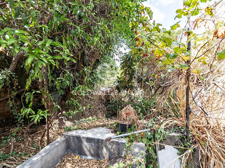 Immagine 32 di Casa indipendente in vendita  in Via Provinciale per Riposto 35 T a Acireale