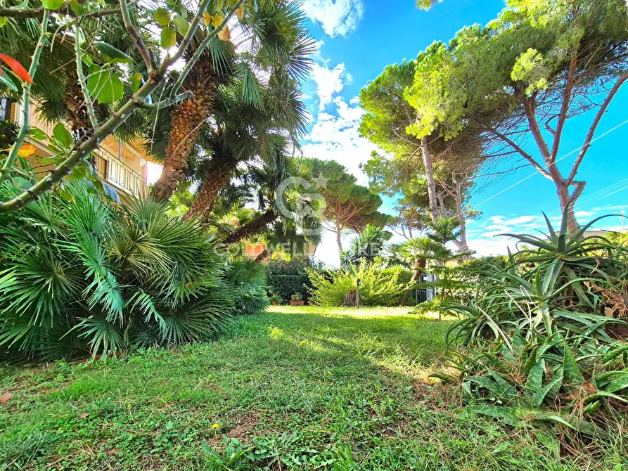 Immagine 5 di Villa in vendita  in Via Rapinio 17 a Tarquinia