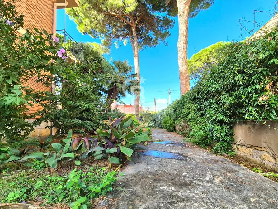 Immagine 6 di Villa in vendita  in Via Rapinio 17 a Tarquinia