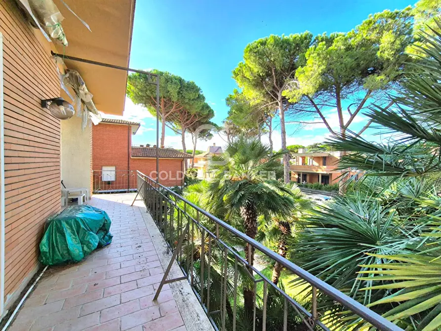 Immagine 23 di Villa in vendita  in Via Rapinio 17 a Tarquinia