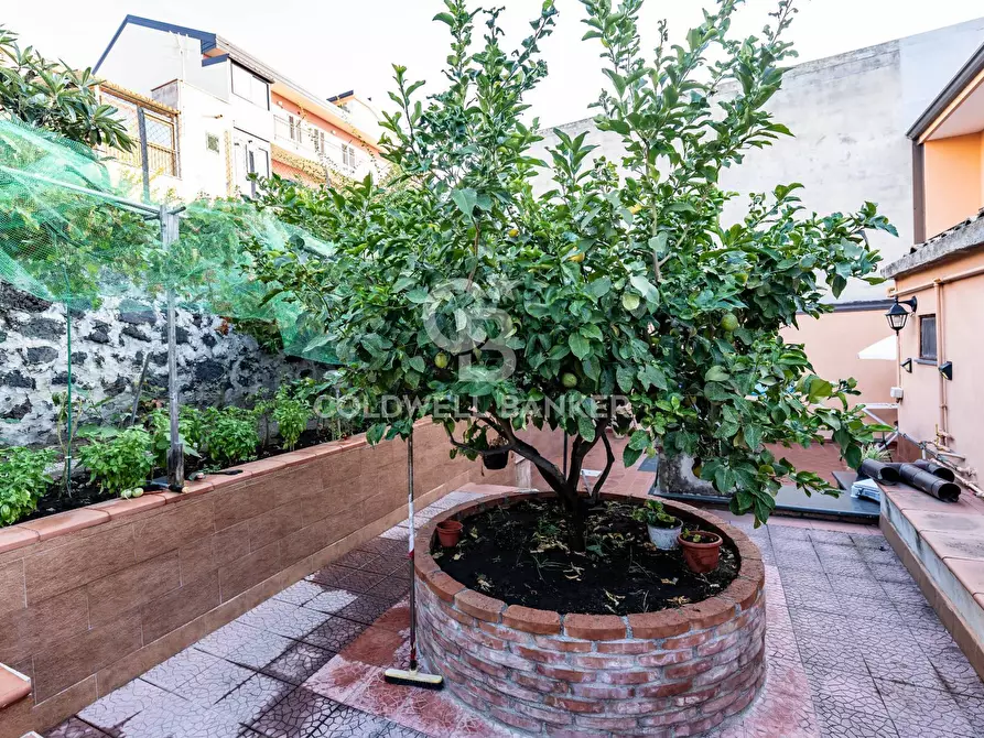 Immagine 16 di Casa indipendente in vendita  in Via Trento 6 a Aci Castello