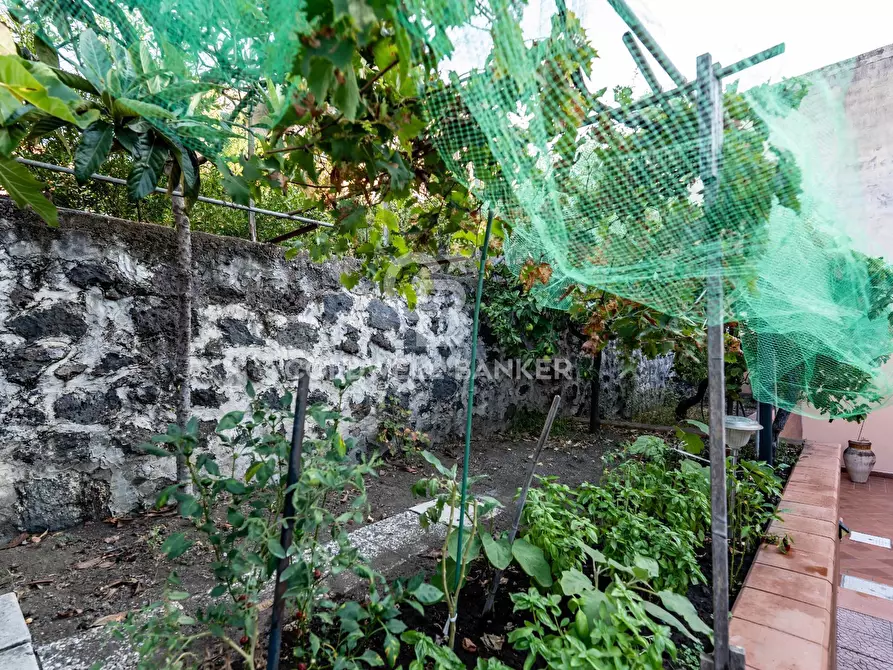 Immagine 17 di Casa indipendente in vendita  in Via Trento 6 a Aci Castello