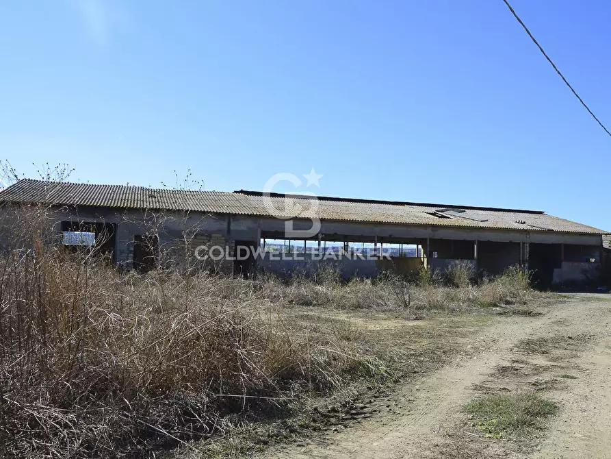 Immagine 11 di Locale commerciale in vendita  in Contrada Robavecchia a Catania