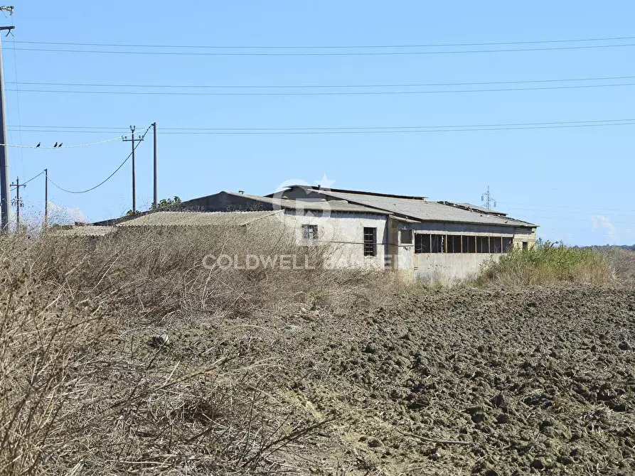 Immagine 7 di Locale commerciale in vendita  in Contrada Robavecchia a Catania