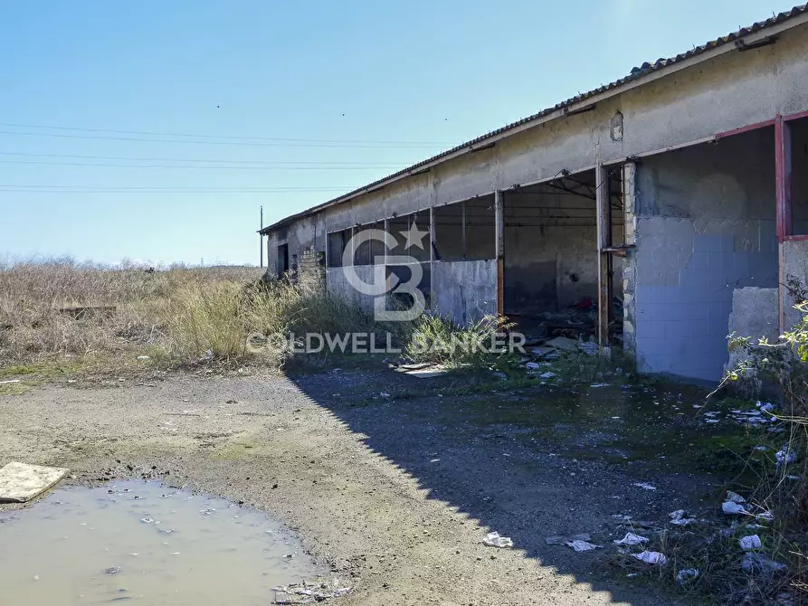 Immagine 10 di Locale commerciale in vendita  in Contrada Robavecchia a Catania