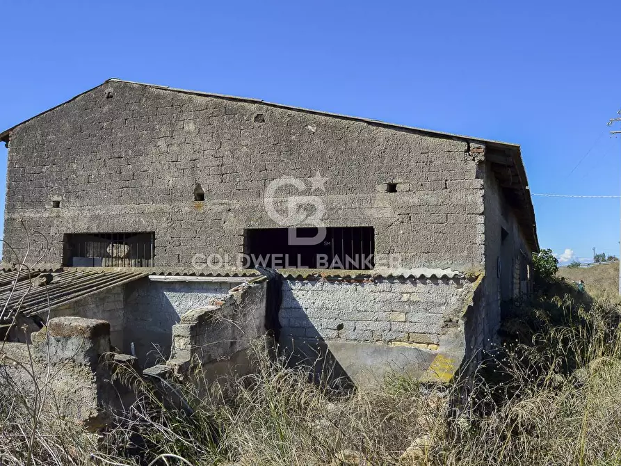 Immagine 12 di Locale commerciale in vendita  in Contrada Robavecchia a Catania