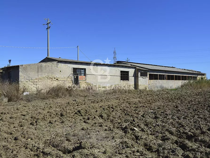 Immagine 14 di Locale commerciale in vendita  in Contrada Robavecchia a Catania