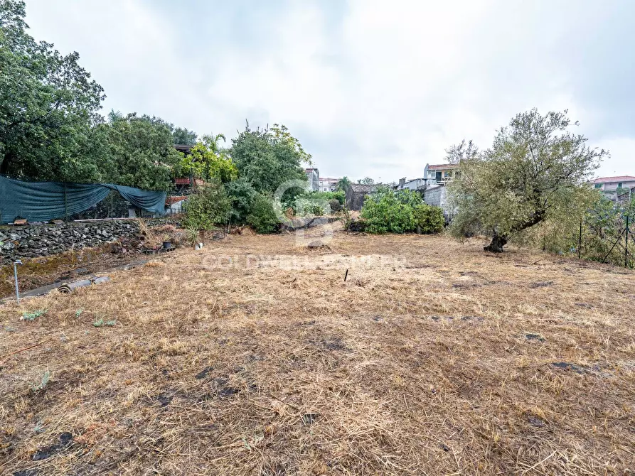 Immagine 18 di Appartamento in vendita  in via Vincenzo Grasso 19 a Acireale